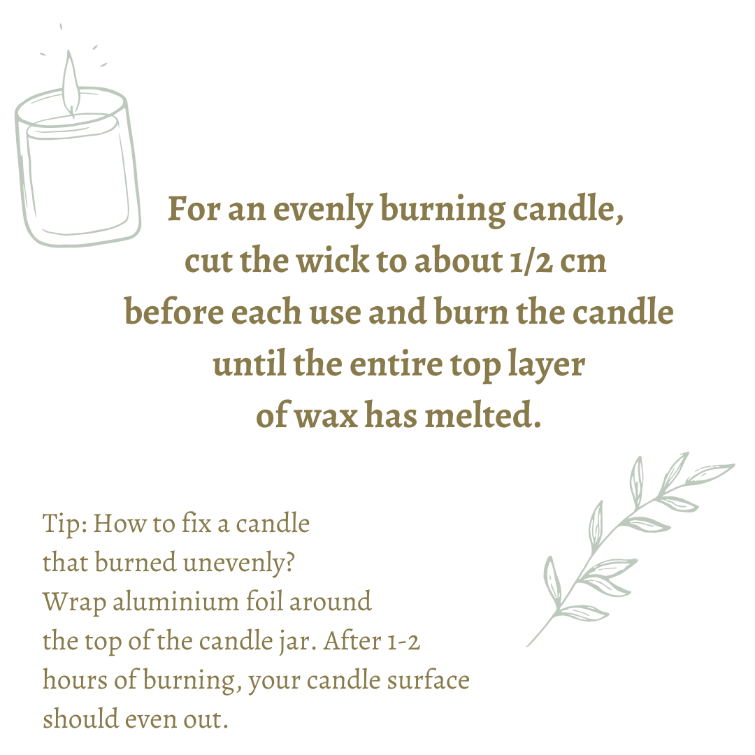 PINE & VANILLA, WINTER FOREST CANDLE